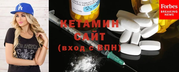сатива Новозыбков