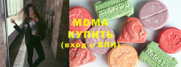сатива Новозыбков