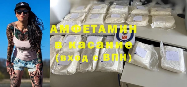 сатива Новозыбков