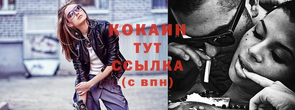 сатива Новозыбков