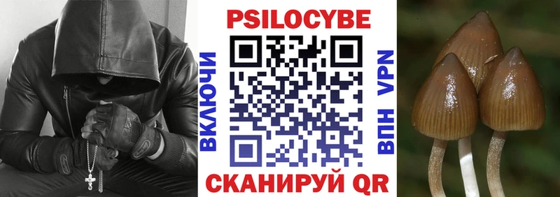 Галлюциногенные грибы Psilocybine cubensis Братск